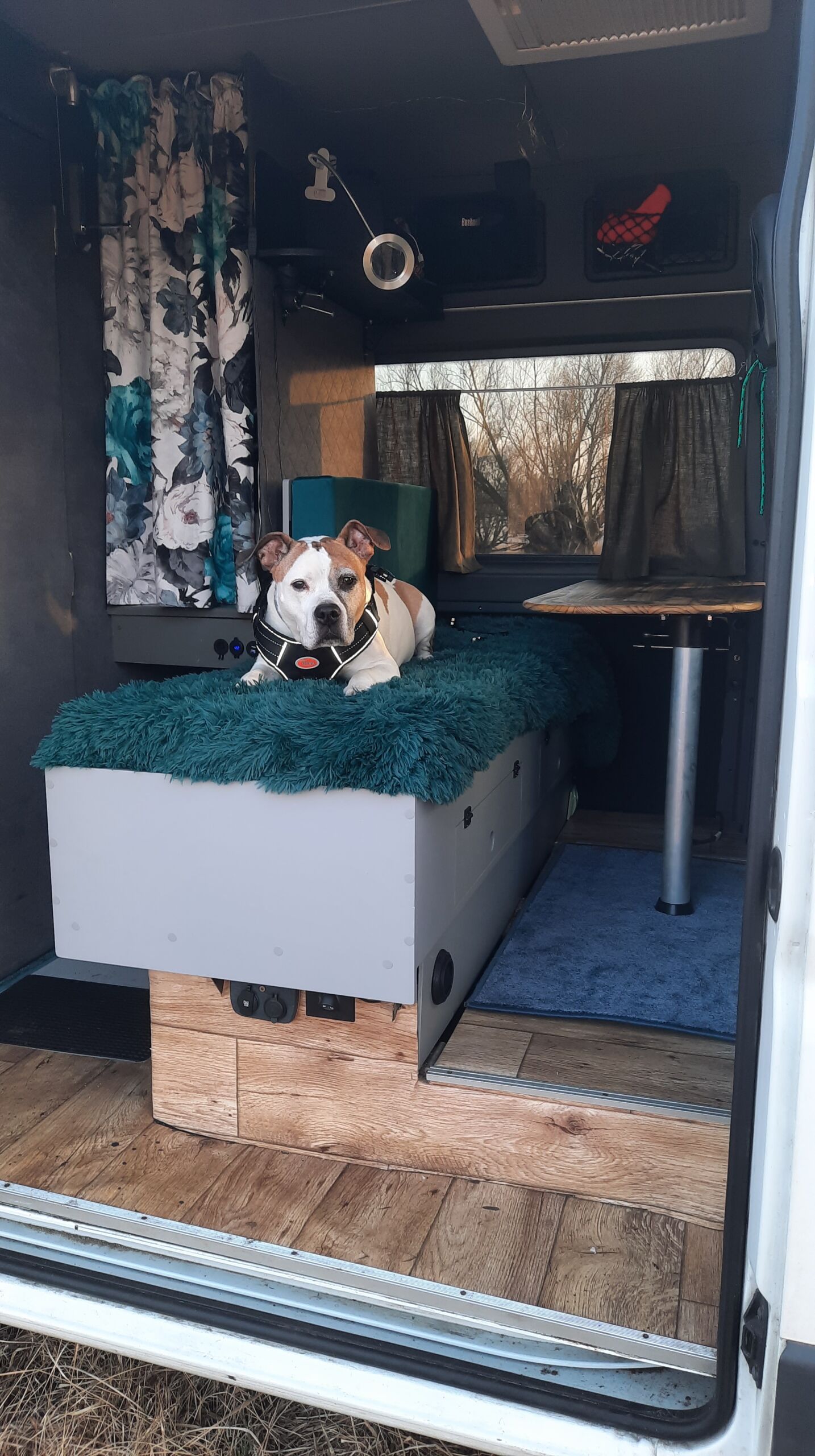 Citroen Jumper - zabudowa meblowa