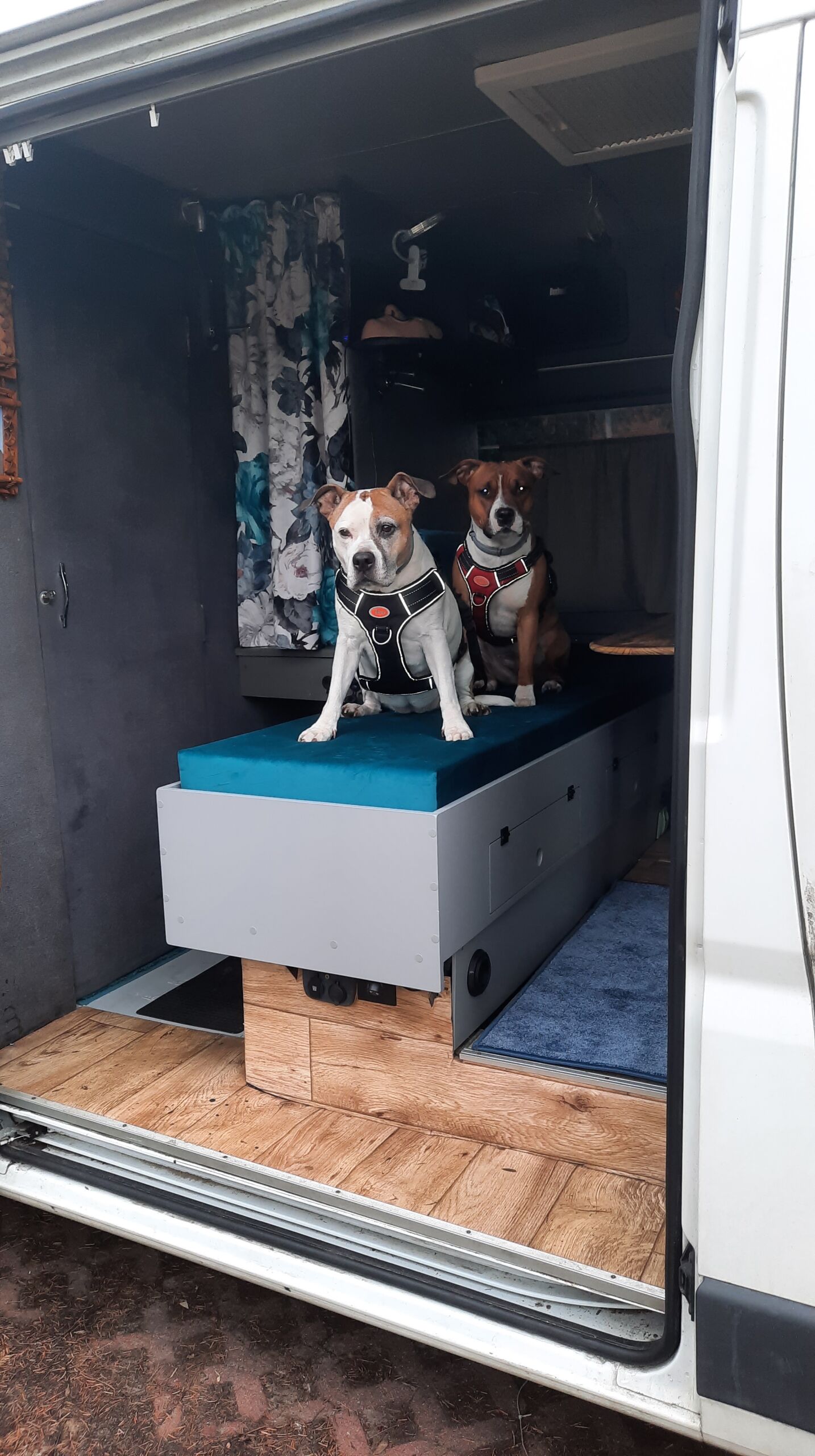 Citroen Jumper - zabudowa meblowa